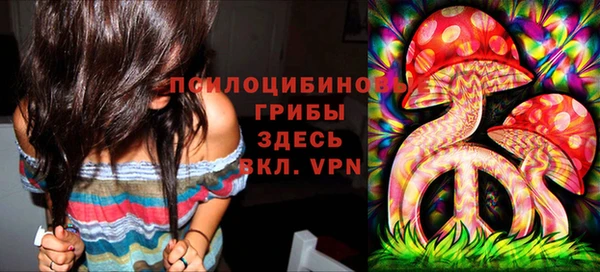 дживик Абаза