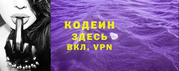 дживик Абаза