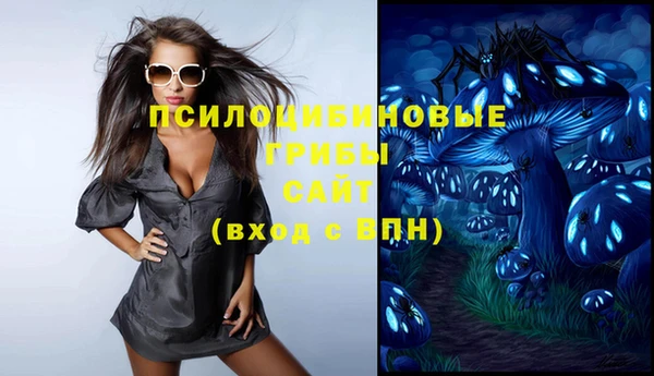 дживик Абаза