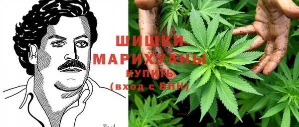 дживик Абаза