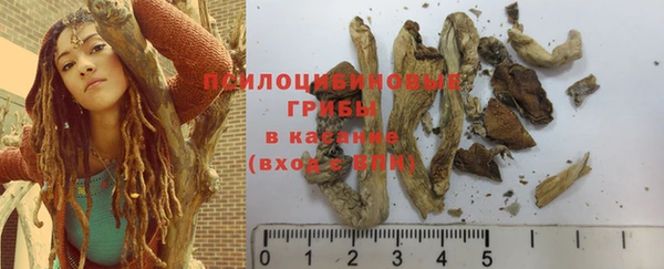 дживик Абаза