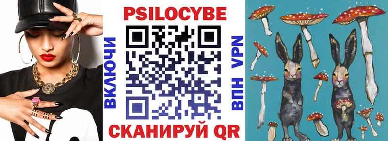 Галлюциногенные грибы Psilocybe  Ак-Довурак 